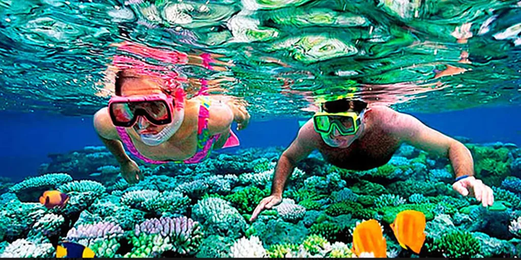 harga paket snorkeling di Bintan