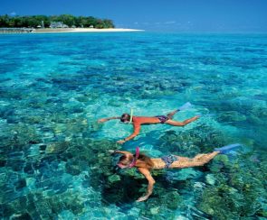 snorkeling snorkeling